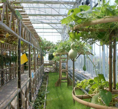 温室大棚也可以做休闲农业?还有8种方案可供选择