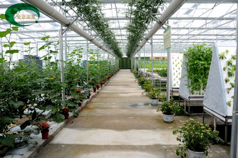 圣亚制造 农业智能温室大棚 玻璃智能温室大棚价格 智能化温室大棚设计