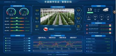徐州丰县:智慧兴农打造富民“数字化作物工厂”